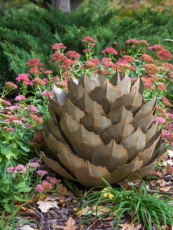 Desert Steel Artichoke Agave Sculpture -Nature's Yard Sales Store 8610761 03v