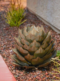 Desert Steel Artichoke Agave Sculpture -Nature's Yard Sales Store 8610761 042v