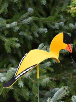 Florida Dancing Birds®, Songbirds 7 Florida Dancing Birds®, Songbirds -Nature's Yard Sales Store 8611629 04v