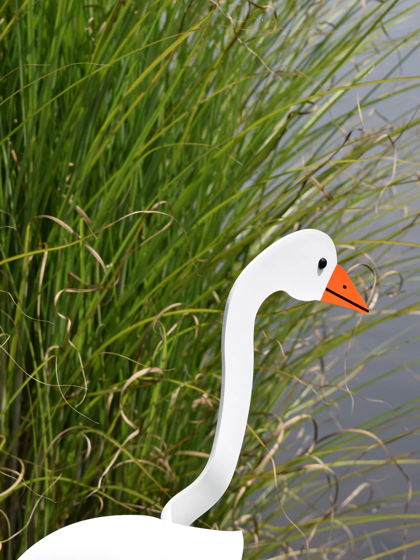Florida Dancing Birds®, Snow Goose 1 Florida Dancing Birds®, Snow Goose