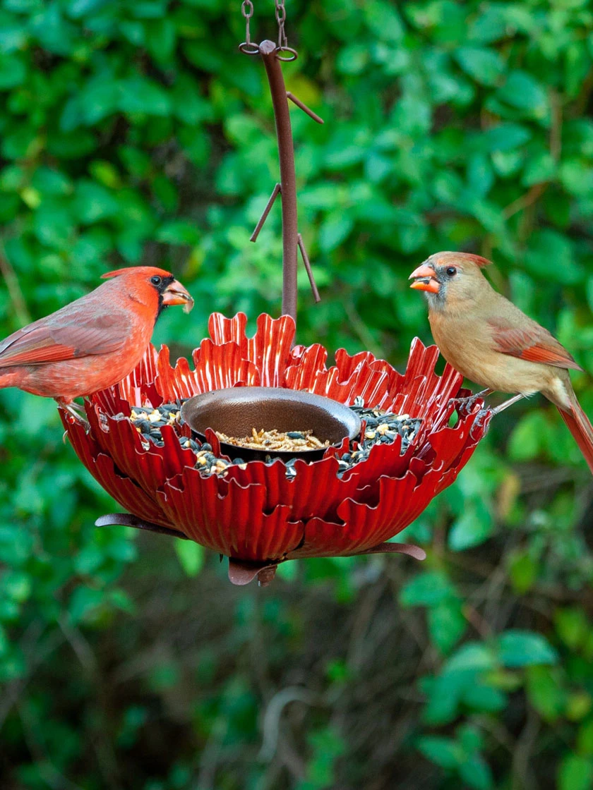 Desert Steel Sunset Peony Bird Feeder 2 Desert Steel Sunset Peony Bird Feeder - Image 2
