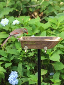 Copper Bathtub Birdbath -Nature's Yard Sales Store 8612202 03v