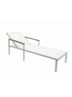 Braylee Reclining Chaise Lounge 15 Braylee Reclining Chaise Lounge -Nature's Yard Sales Store 8612262 08v