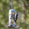 Suet Ball Feeder