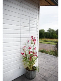 Chicken Wire Wall Trellis 14 Chicken Wire Wall Trellis -Nature's Yard Sales Store 8612717 0081