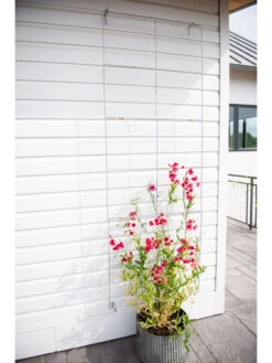 Chicken Wire Wall Trellis 13 Chicken Wire Wall Trellis -Nature's Yard Sales Store 8612717 0093