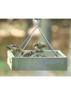 Birds Choice™ Tray Bird Feeder, Small -Nature's Yard Sales Store 8613221 03v