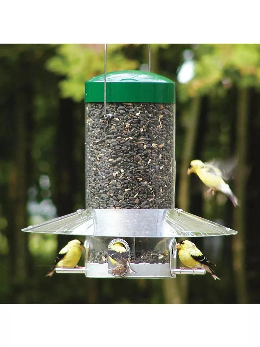 Birds Choice® Classic Hanging Bird Feeder, 12 Inches 1 Birds Choice® Classic Hanging Bird Feeder, 12 Inches