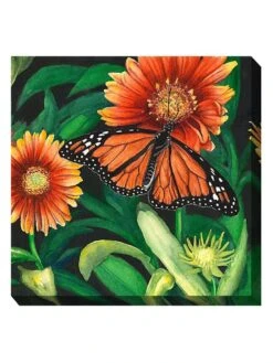 Monarch Outdoor Wall Art -Nature's Yard Sales Store 8613939 01V 3 4