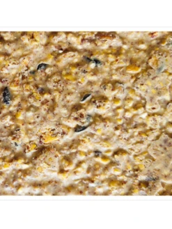 Peanut Apple Suet, 11.75 OZ, 12 Pack -Nature's Yard Sales Store webimage 8613690 04V