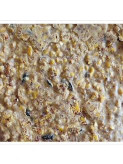 Woodpecker Almond Suet, 11.75 OZ, 12 Pack -Nature's Yard Sales Store webimage 8613691 04V